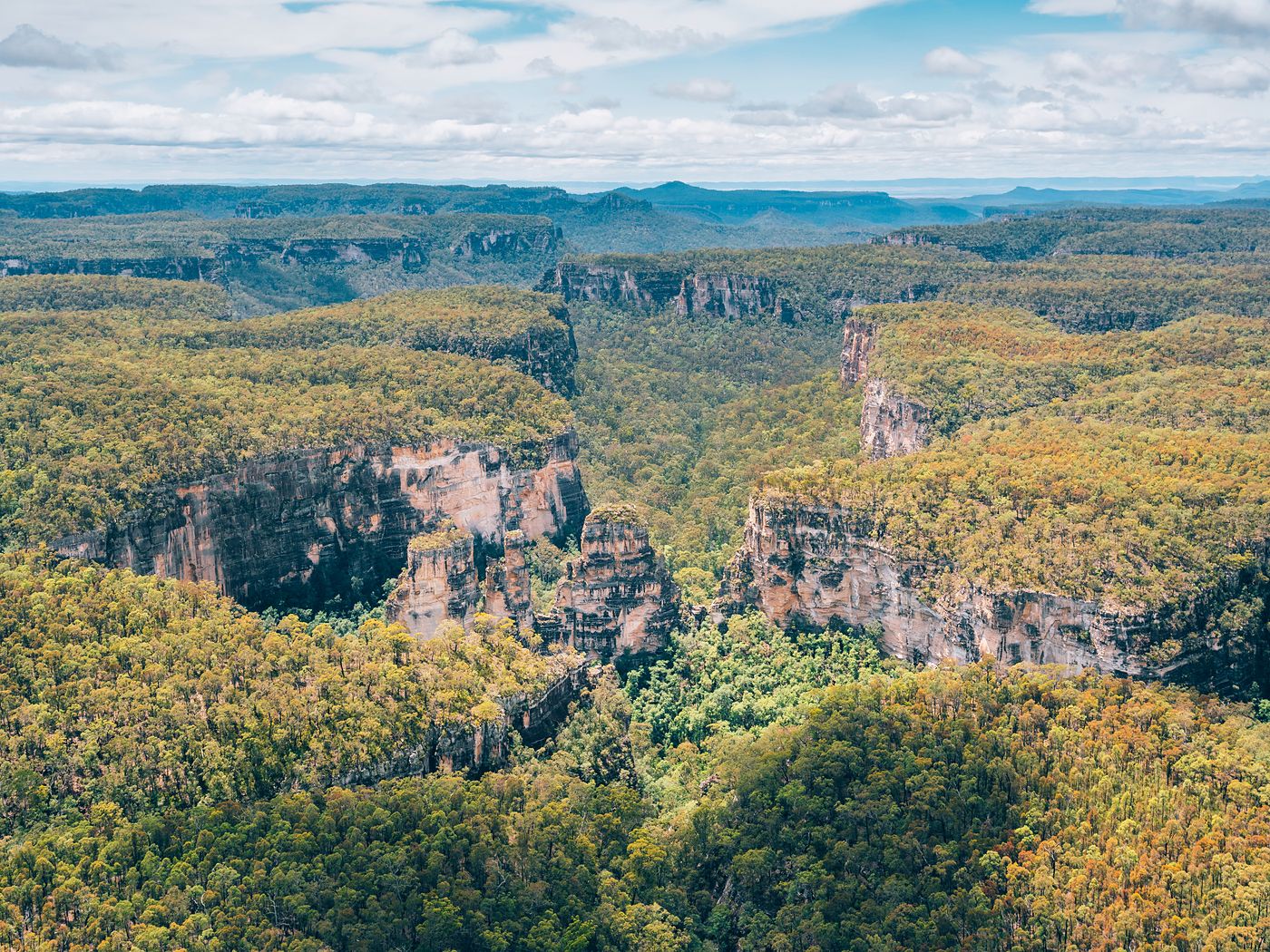 Aerial view of the sandstone cliffs of Carnarvon Gorge