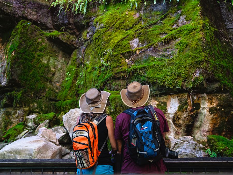 Two walkers in hats looking up at the moss-covered wall of the Moss Garden