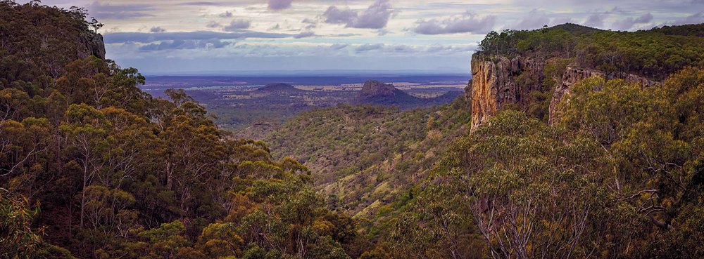 Forested gorge & cliffs in Minerva Hills National Park